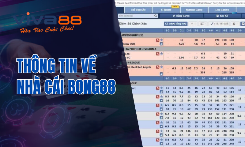 Bong88.com - Thiên đường đổi thưởng dành cho cược thủ 4 Thông tin về nhà cái Bong88