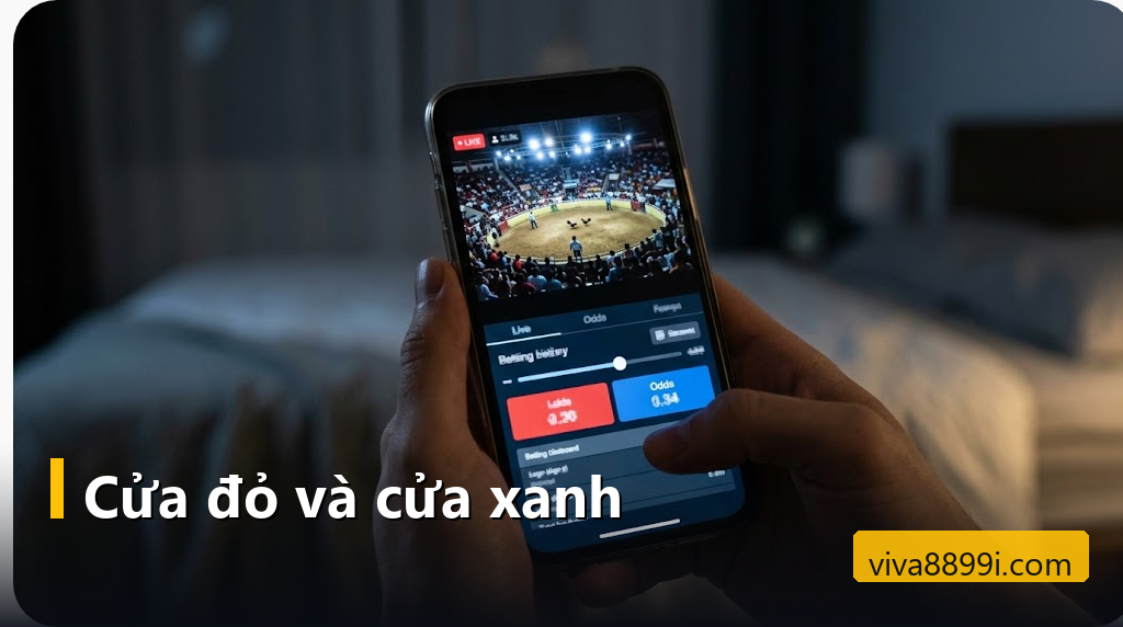 Điện thoại phát trực tiếp trận đá gà với hai nút cược đỏ và xanh bên dưới